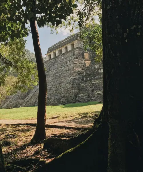 Ruinas mayas de Palenque rodeadas de selva en Chiapas
